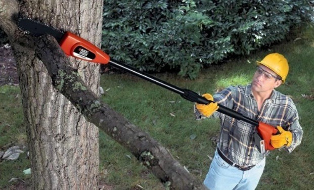 Best Pole Saw Reviews 2024: Electric & Gas Pole Saw - Buying Guide